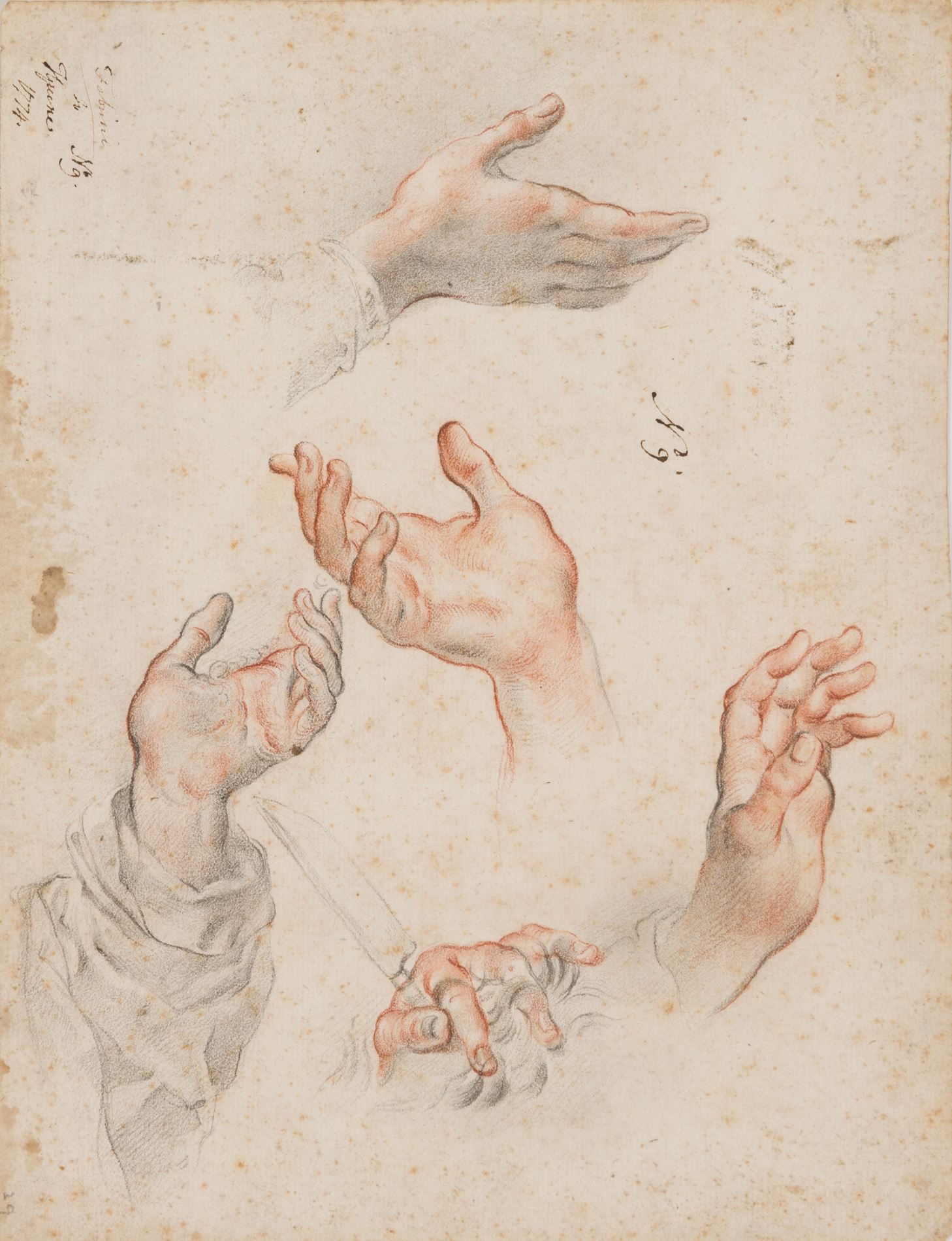 Cristofano ALLORI (Florence 1577 - Florence 1621) - A Sheet