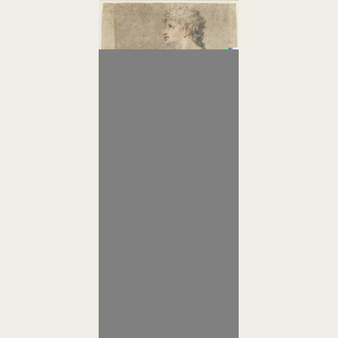 Alternate Text